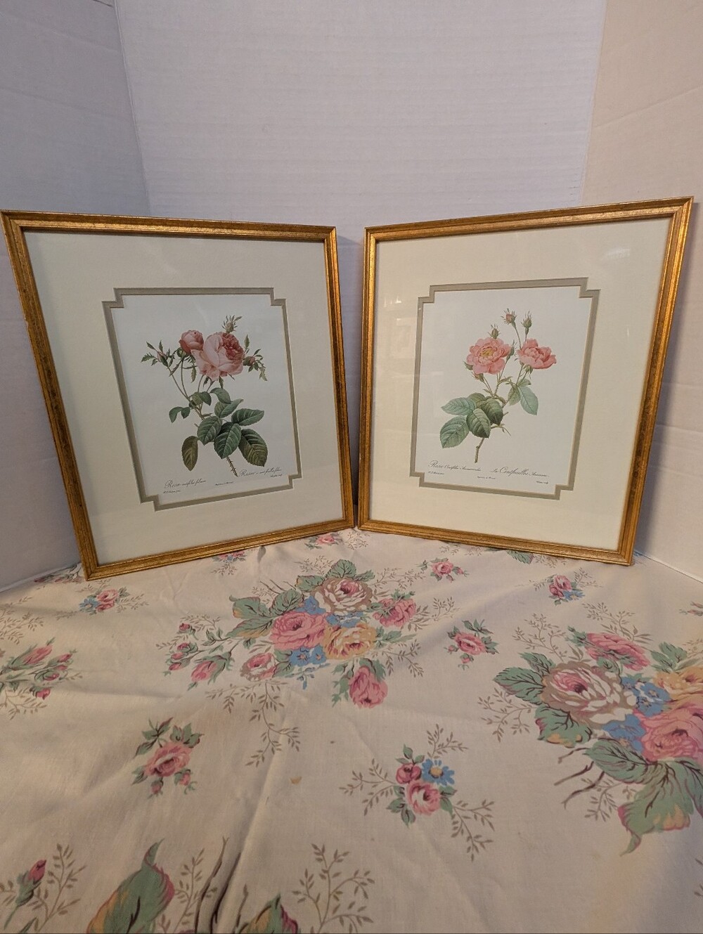 Vintage Pair Of Rose Botanical by Pierre Joseph Redouté Framed Print Repro Set